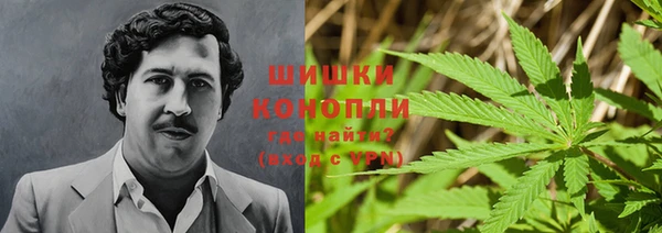 гидропоника Бугульма