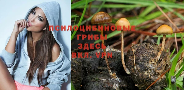 соль ск Бородино