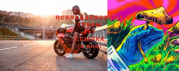 гидропоника Бугульма
