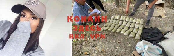 тгк Бронницы
