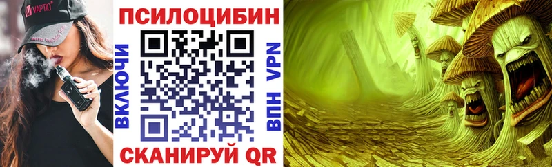 Псилоцибиновые грибы Magic Shrooms  как найти закладки  Мещовск 